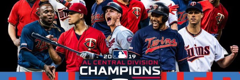 Go Twins banner