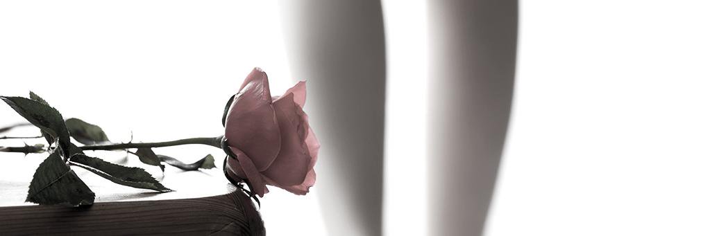 SKunstatelier's profile banner image