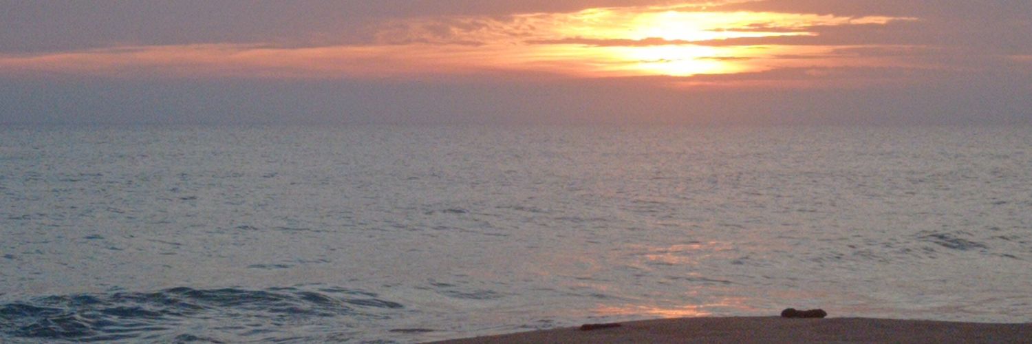 Alice_Houy's profile banner image