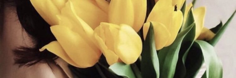 الزهره البريه🌼💛 banner