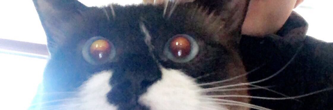 ColeGilbert22's profile banner image
