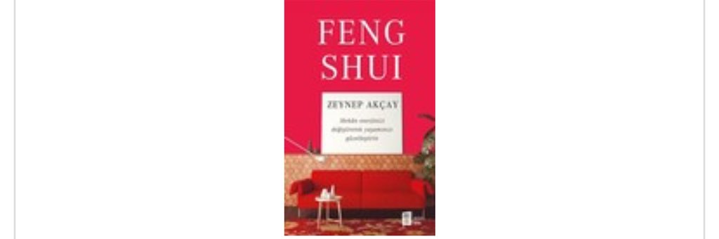 FengShuiAkademi's profile banner image