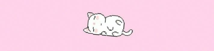 softfairy861's profile banner image
