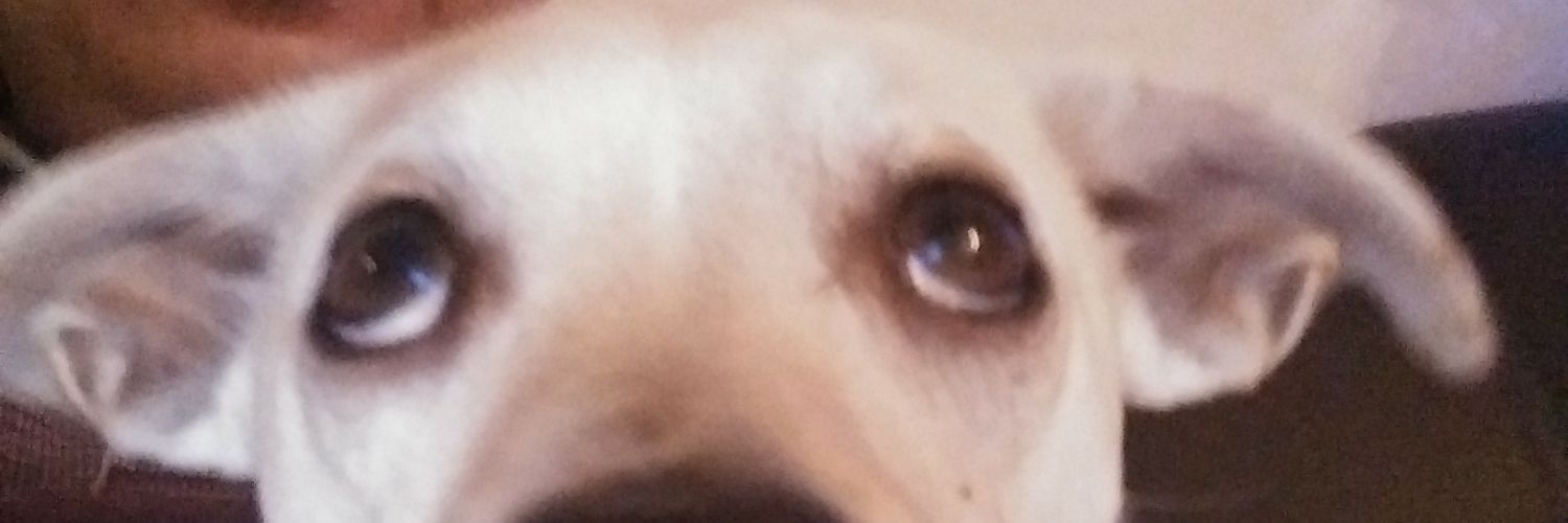 ingdany's profile banner image