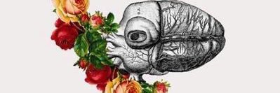 ThisisJaiye's profile banner image
