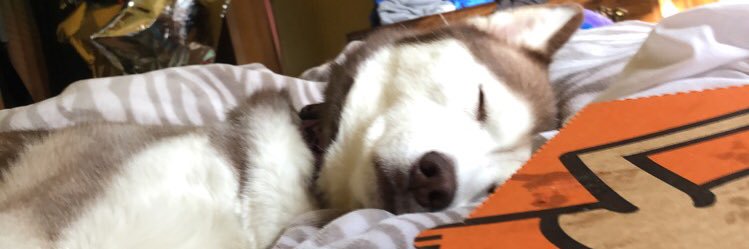 Hannahstar99's profile banner image