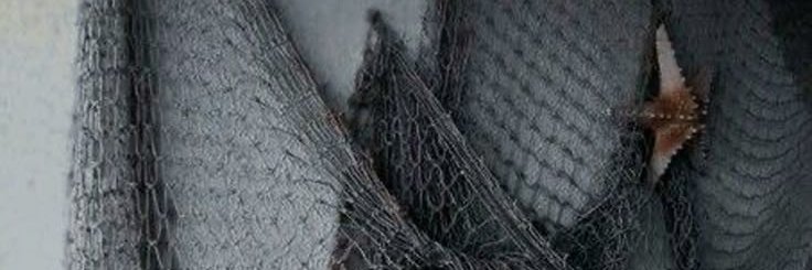 bloodrushd's profile banner image