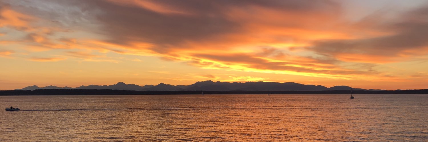comatusnm's profile banner image