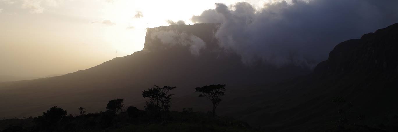 Jérémy Joly banner