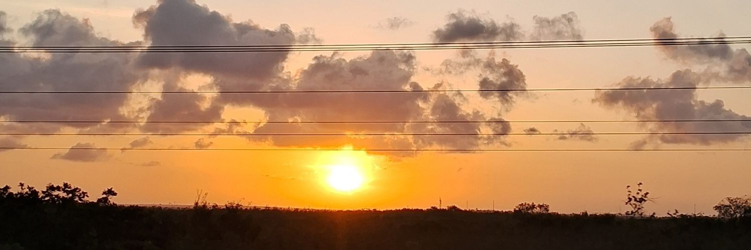 williamgermano2's profile banner image