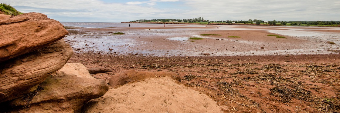 AuroraWarrior banner