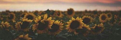Chelsea_Grant85's profile banner image