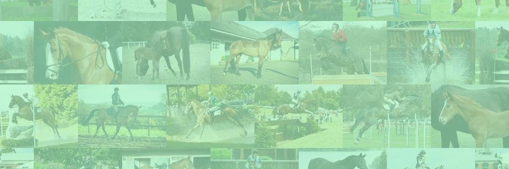 TrotUp.com banner