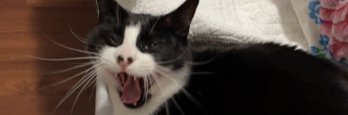 audreey98's profile banner image