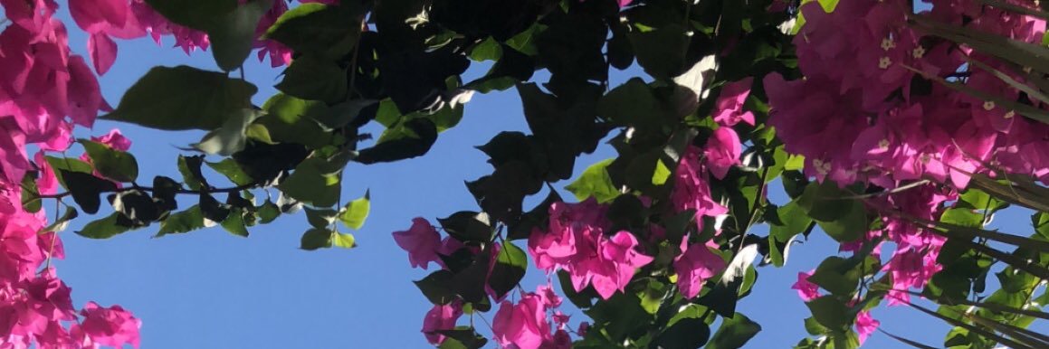 mollycraddock2's profile banner image