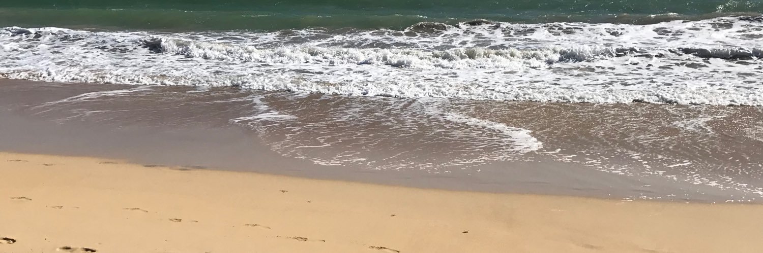 Marc Giguère 🏈 🦁 🥅 🎾 🥌🏒🥊🎿 🇨🇦⚽ 🏀 banner