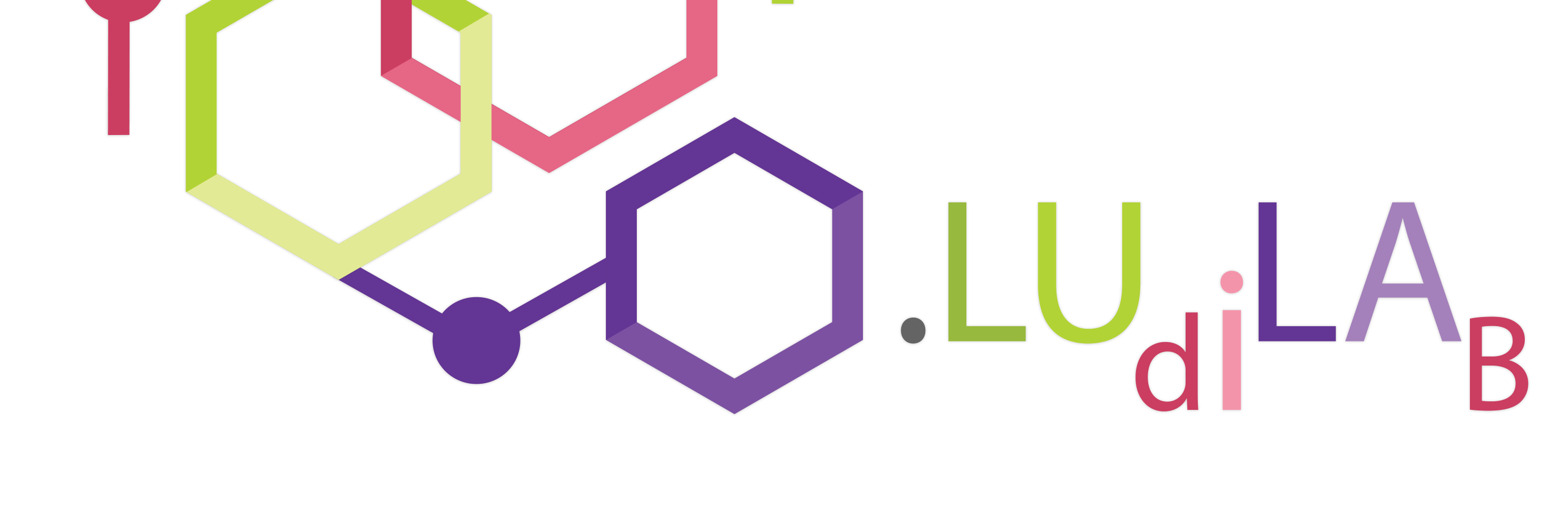 Ludilab banner