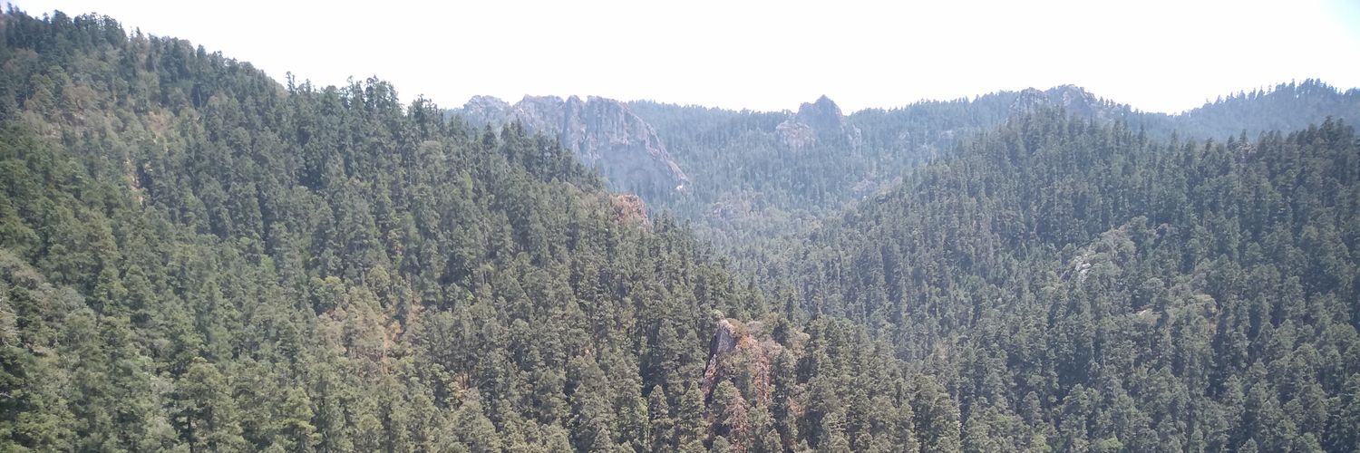 mulancg's profile banner image