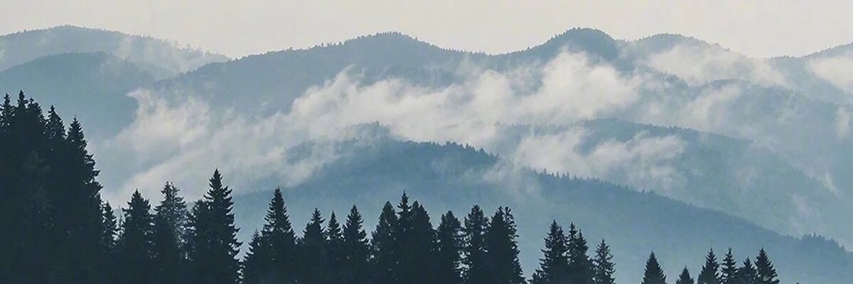 sequen_vv's profile banner image