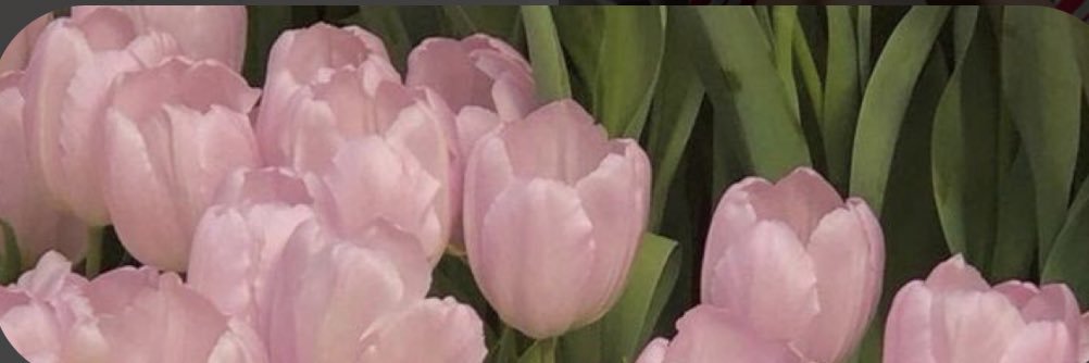 lucymarsayyy's profile banner image