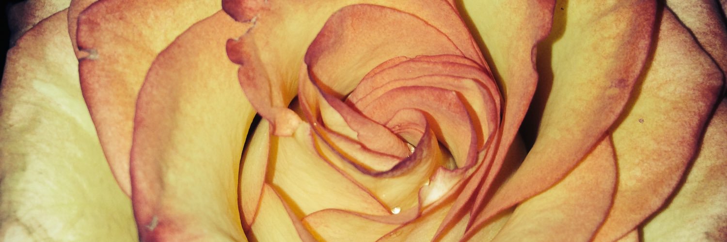 jennakateeee's profile banner image