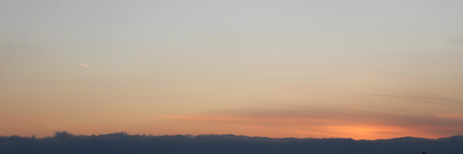 1_yla's profile banner image