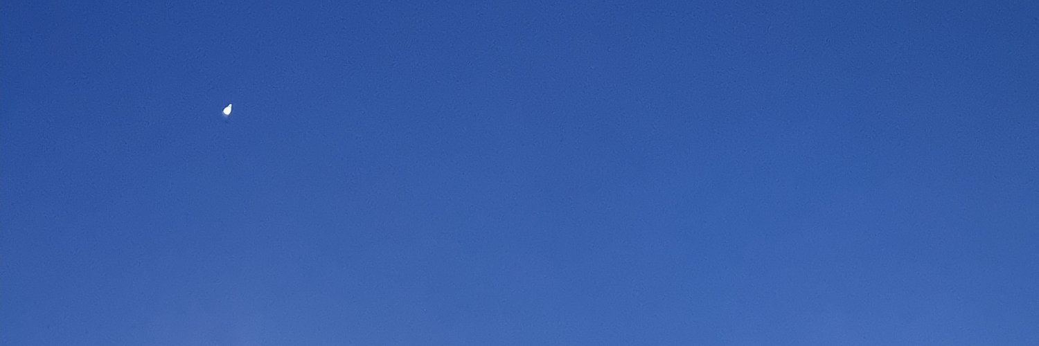 cyclamendump's profile banner image