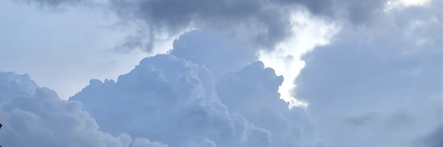 nenepook's profile banner image