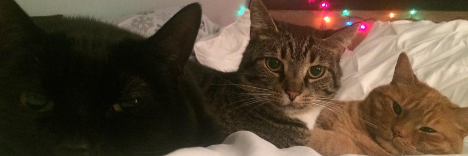magic_KATEball's profile banner image