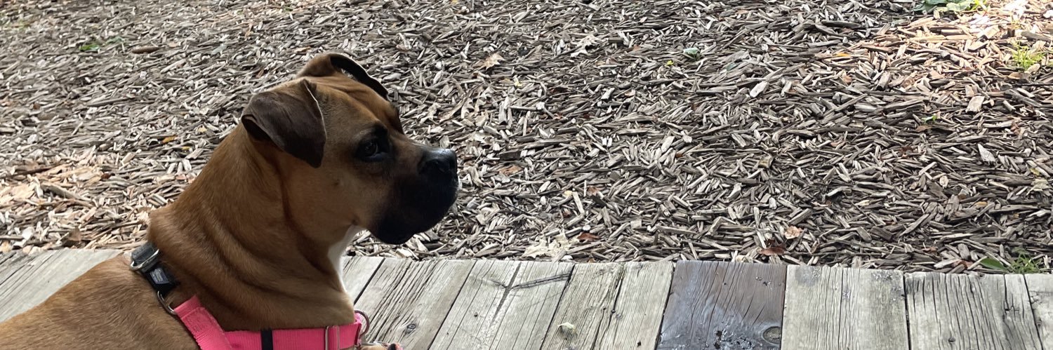 Jennifer Kevorkian banner