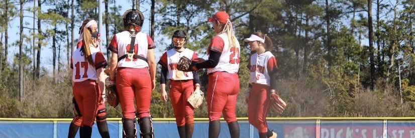 King's Softball banner