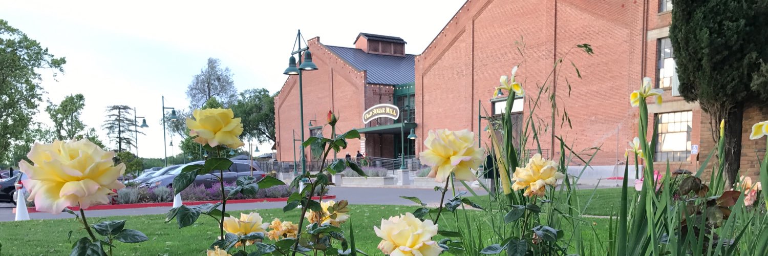 OldSugarMill's profile banner image