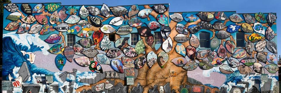 Rachel Corrie Foundation banner