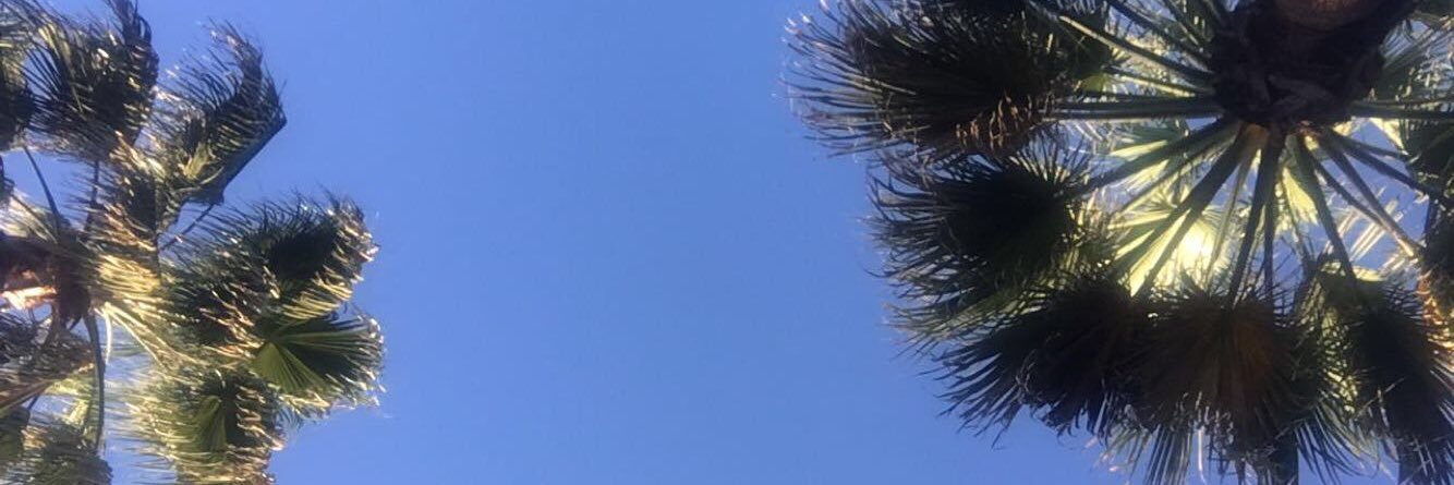 Stephhani_e's profile banner image
