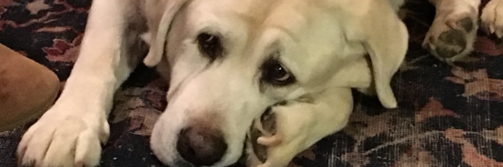 agoldm's profile banner image