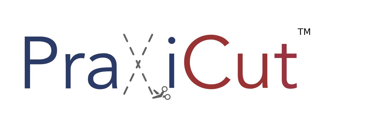 PraxiCut's profile banner image