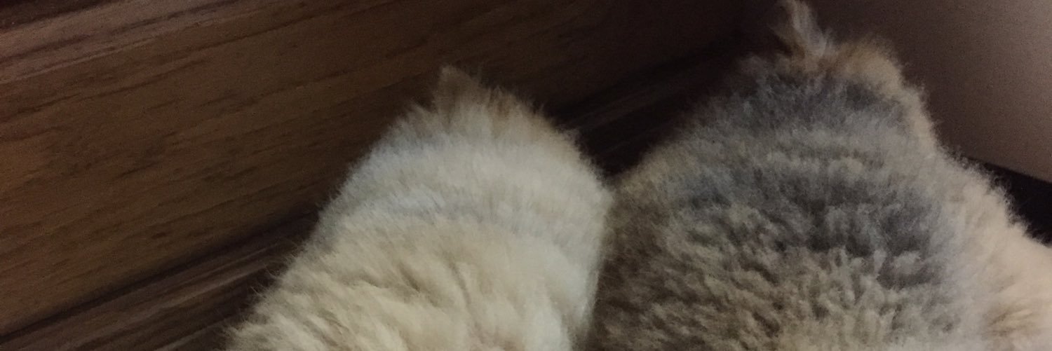 emipomeminnie's profile banner image