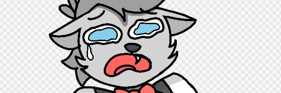 FancySilverWolf's profile banner image
