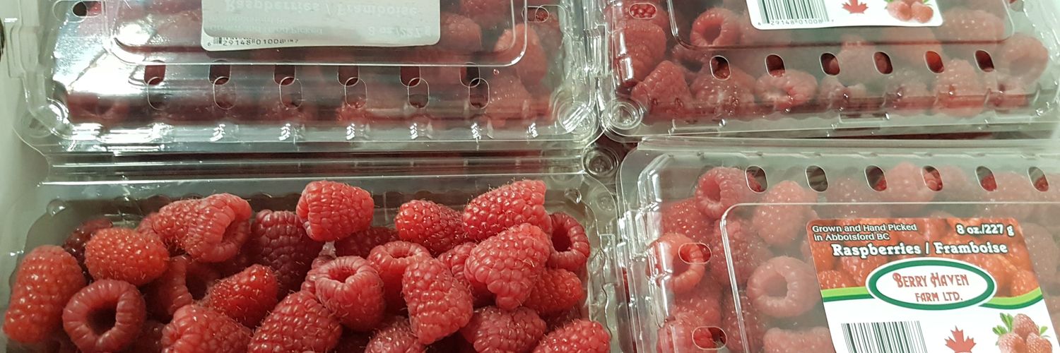 got_berries's profile banner image
