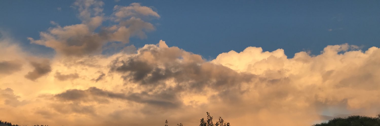 ariahells's profile banner image