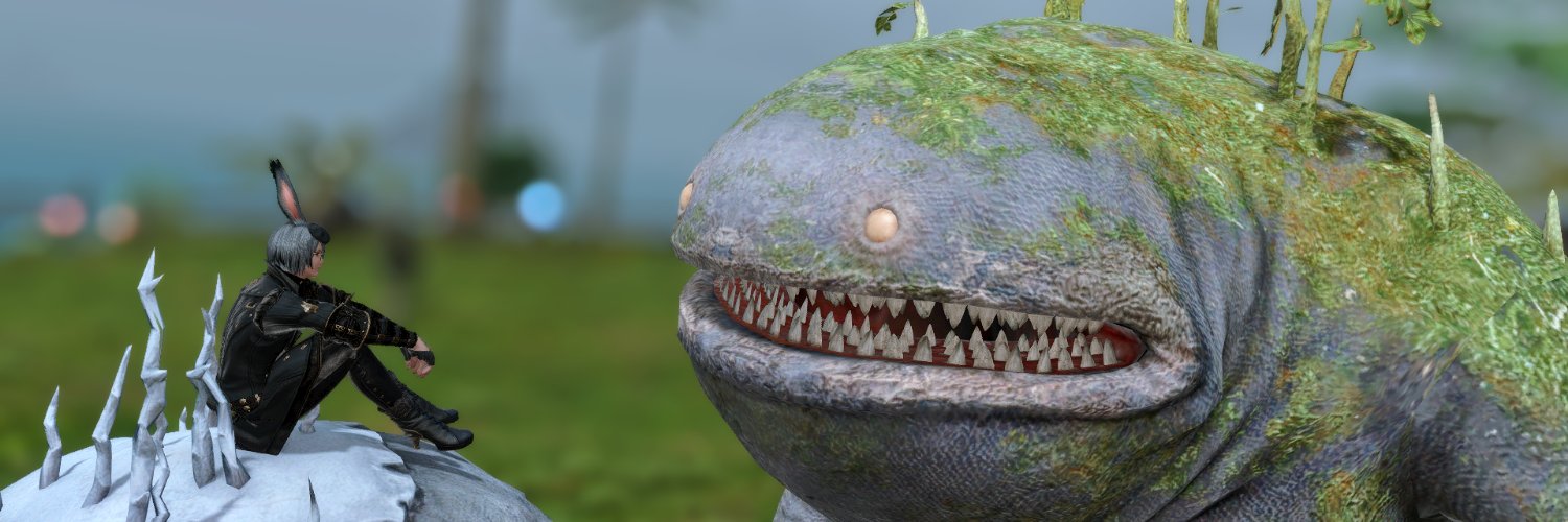 eIIinforest's profile banner image