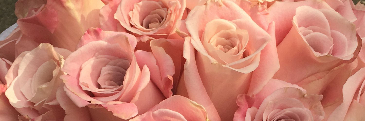 kenz_gray's profile banner image
