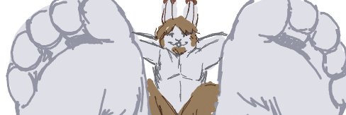BartStBernard's profile banner image