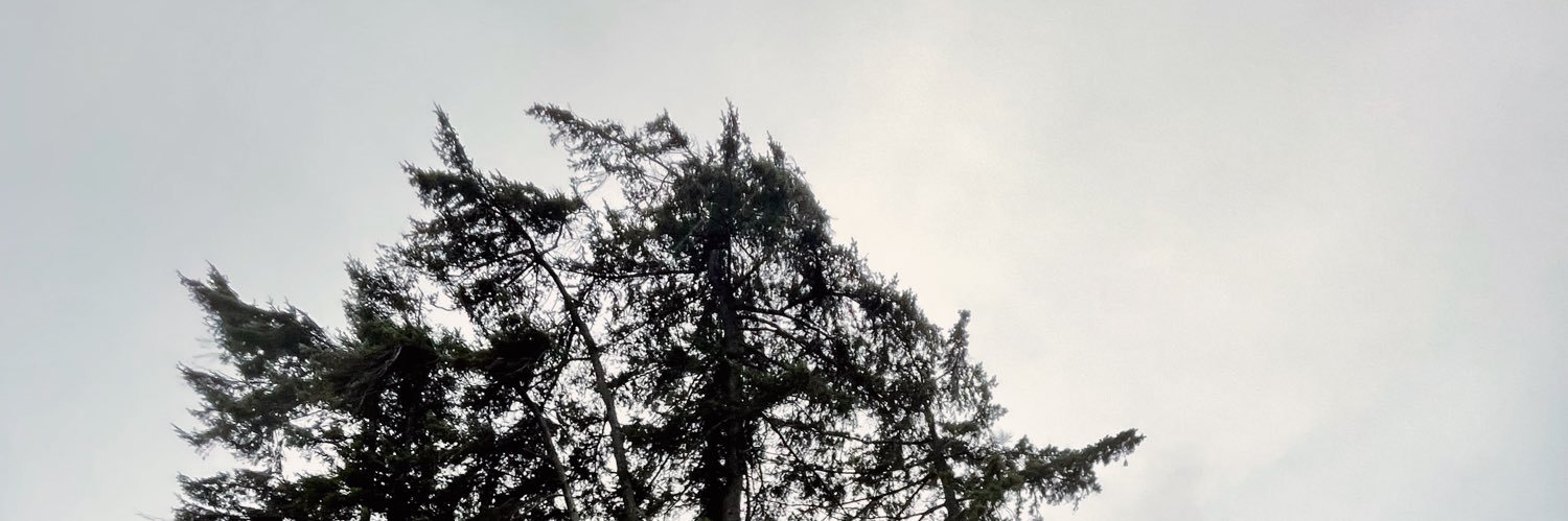 ChelseeaReid's profile banner image