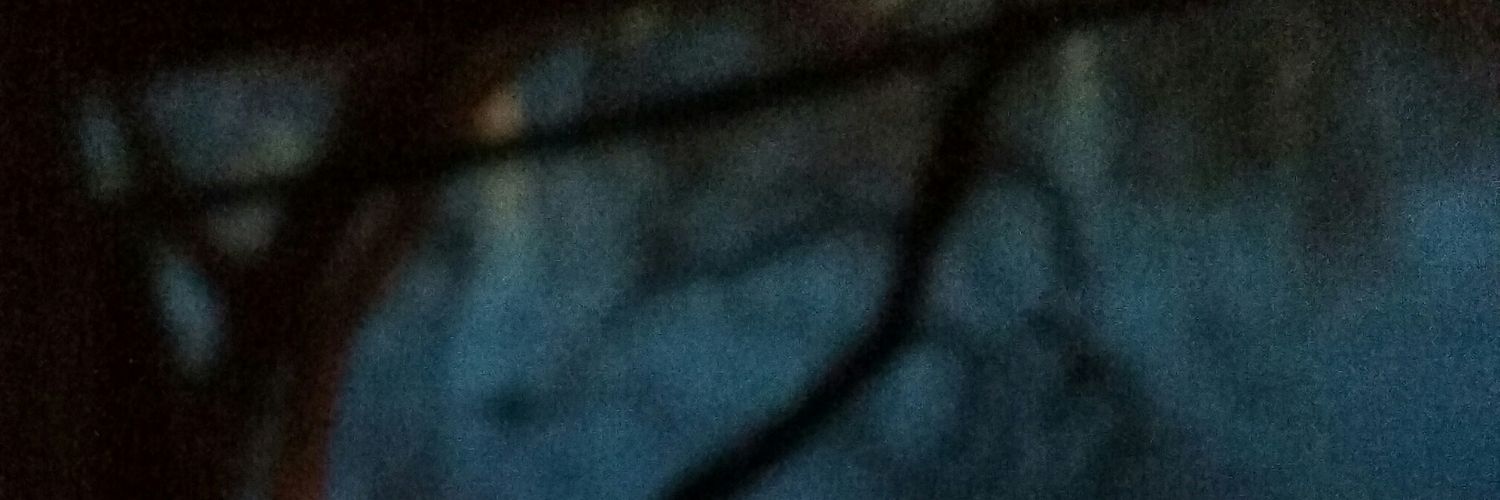 casiotonehell's profile banner image