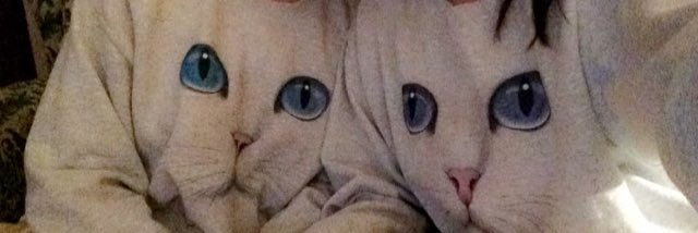 LizzzyD143's profile banner image
