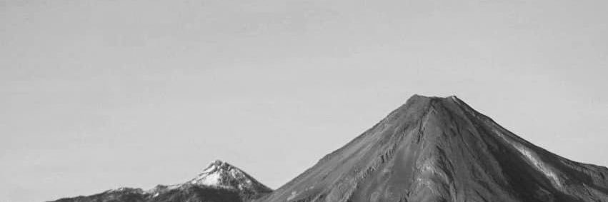 reginaarac's profile banner image