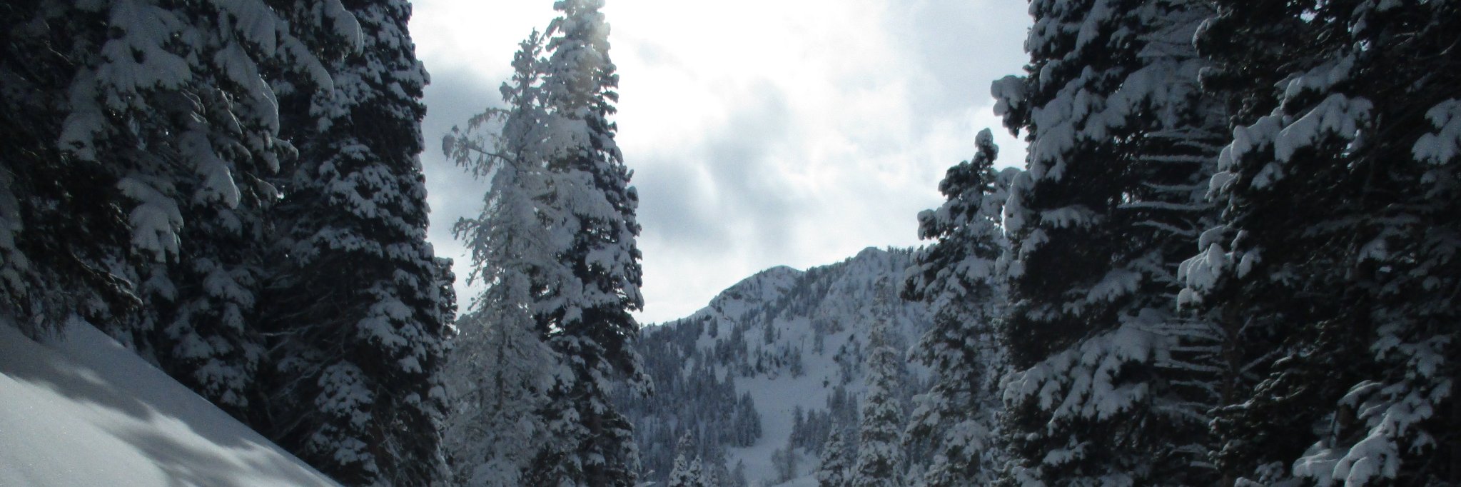 KyleH212's profile banner image
