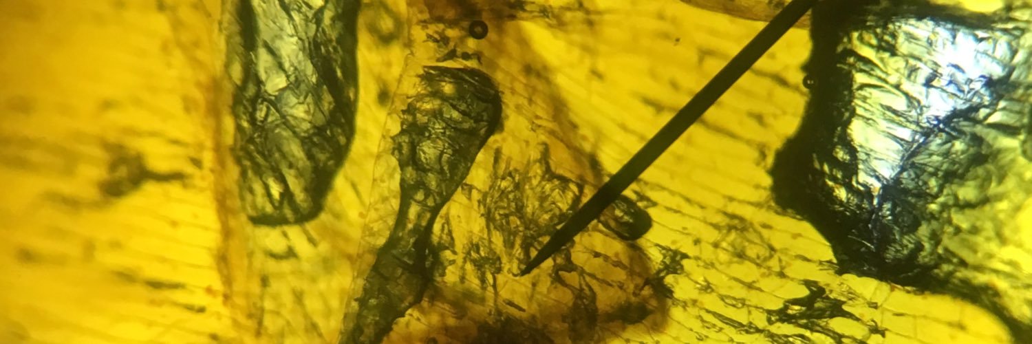 cell_memebrane's profile banner image
