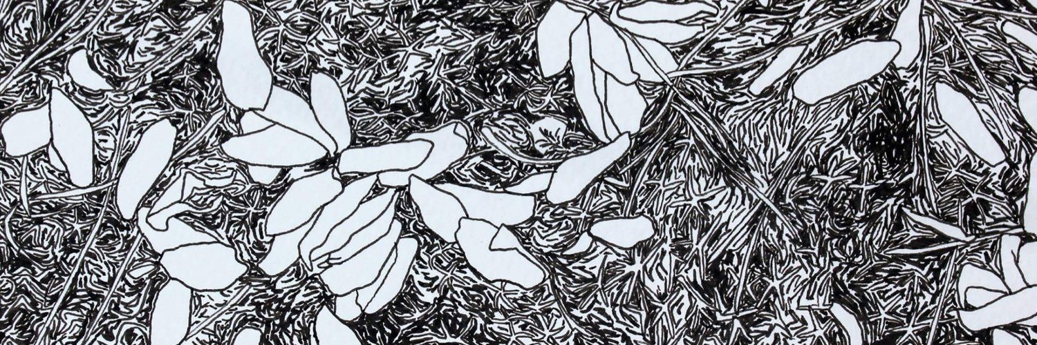 drawntopaper's profile banner image